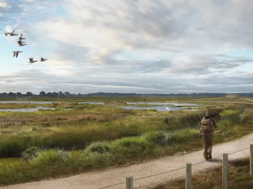 Moors at Arne Coastal Change Project