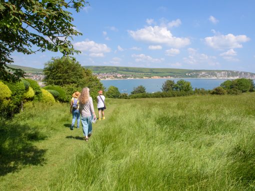 Sustainable Swanage