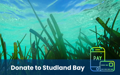 Donate to Studland Bay Appeal