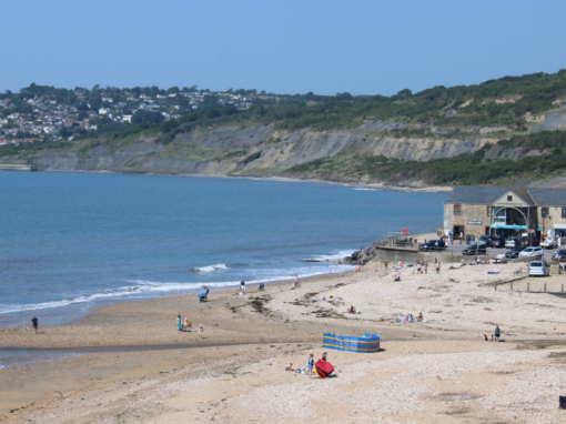 Future Coast Charmouth