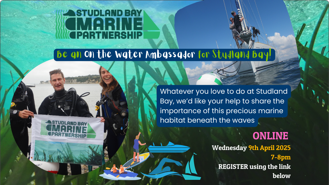 Be an on the Water Ambassador for Studland Bay!