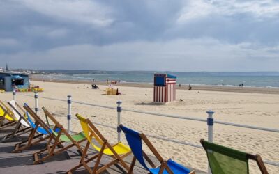 DCF eNews Summer 2025