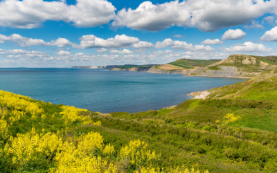 DCF eNews Spring 2026