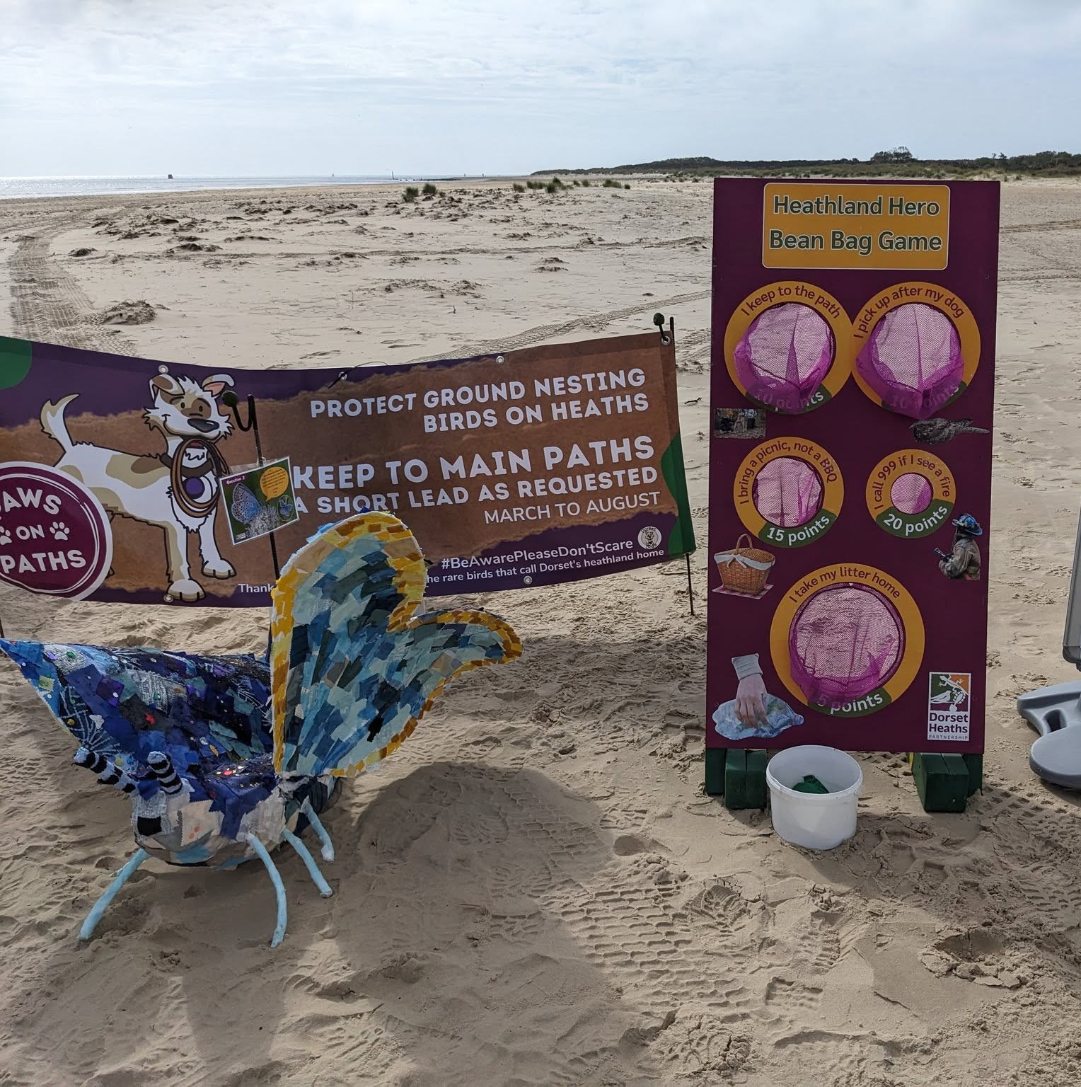 Dorset Heaths Partnership activity